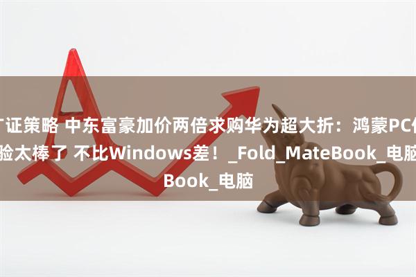 广证策略 中东富豪加价两倍求购华为超大折：鸿蒙PC体验太棒了 不比Windows差！_Fold_MateBook_电脑