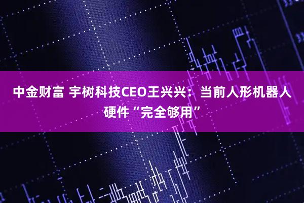 中金财富 宇树科技CEO王兴兴：当前人形机器人硬件“完全够用”